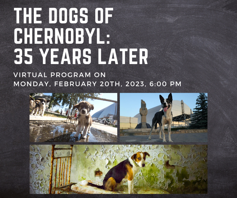 Dogs of Chernobyl.png