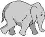 running-elephant running-elephant