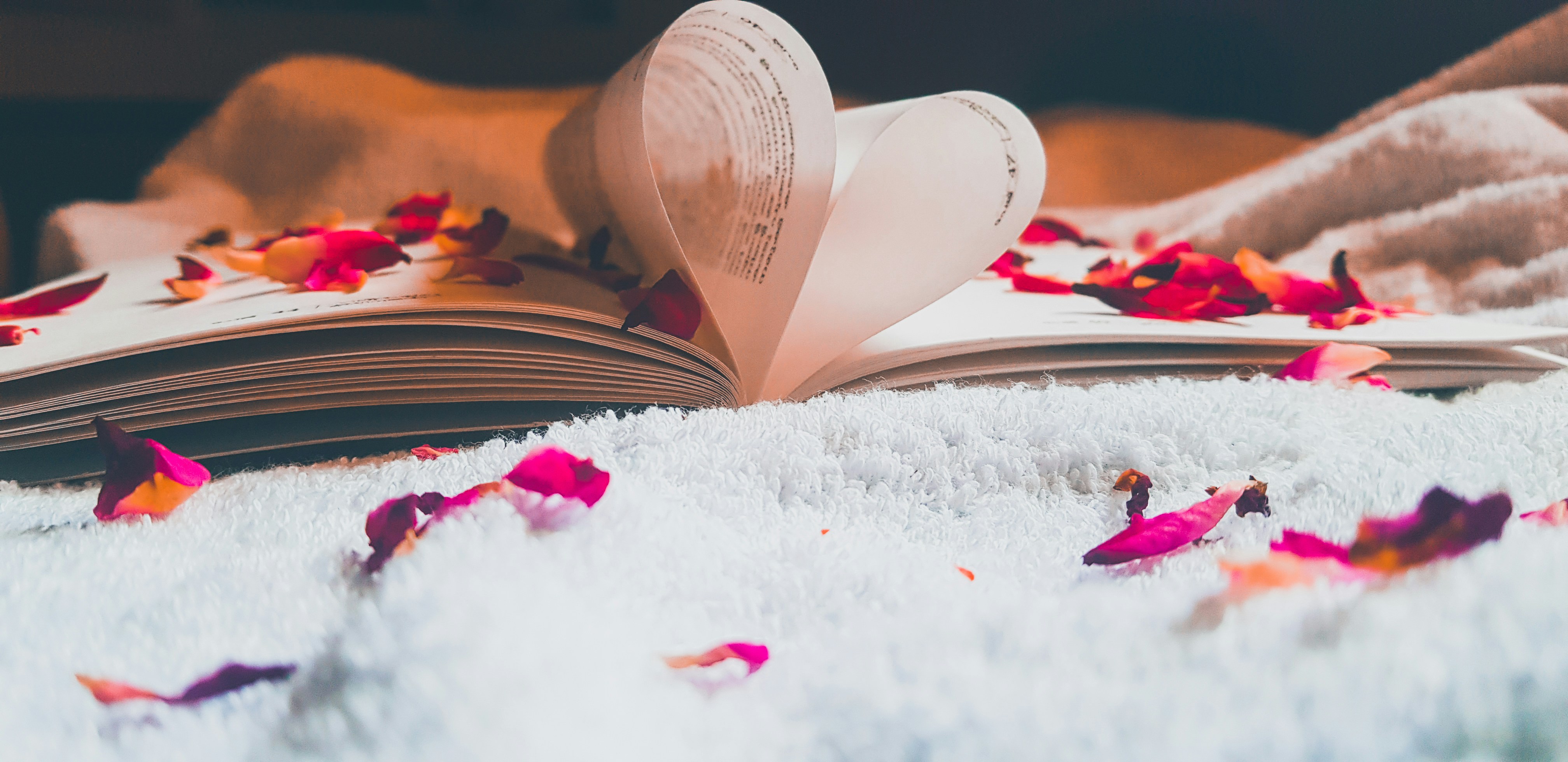 rakesh-morpheus-ALNB7G8MWYs-unsplash (1).jpg