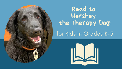 Read to Hershey the Therapy Dog